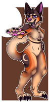 Canine art contest entire