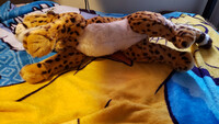 Plushie Collection [25]: 20" Living Nature Cheetah