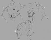 Neck vore ych yhh
