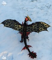 A dragon named Amber