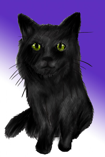 Midnight  Warrior cats by plush_nessie -- Fur Affinity [dot] net