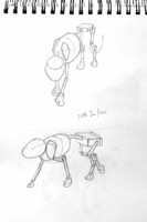 Practice 20th January 2011