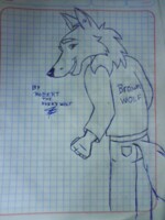 Sketch Brown wolf