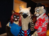 FC 2011: Hyena Sandwich