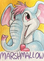 Elephant Marshmallow badge