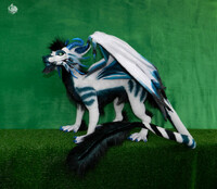 Shadarrius