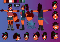 Sasha's New Ref