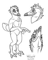 Magpie Doodles