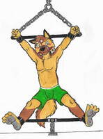 We can steal the lambs AGAIN