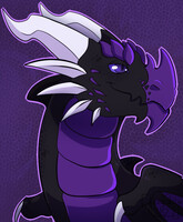 Derg portrait