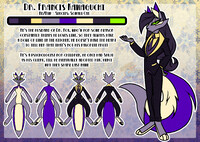 Francis The Somali Cat - Reference Sheet
