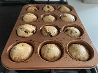 Oatmeal raisin honey muffins