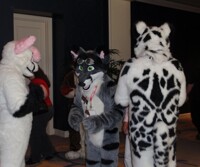 FC 2011 - Pamfer spots!