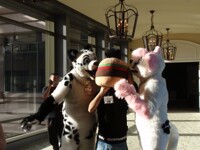 FC 2011 - Lunch!