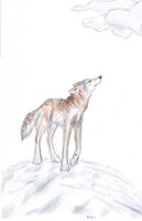 Watching the Clouds Roll In