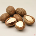 linearnutmeg