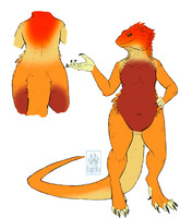 Bearded dragon adopt