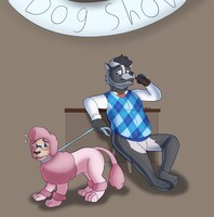 Dog show sphinx