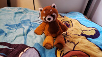 Plushie Collection [75]: 13" Mary Meyer Marshmallow RedPanda
