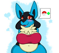 Chubby lucario