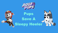 Aqua Pups: Pups Save A Sleepy Heeler (Title Card)