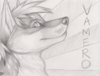 Vamero Graphite Badge