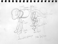 Practice 24th January 2011