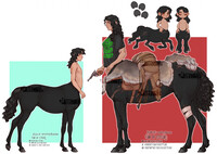 (SOLD) centaur adopt 3-23-2