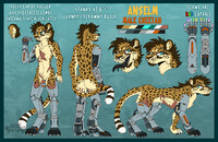 Anselm Reference 2.0 SFW