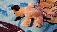Plushie Collection [77]: 9" Ganz Webkinz German Shepherd