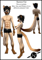 Siamese Cat IMVU