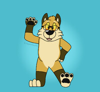 Murphy Coyote