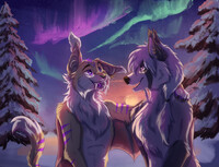 Commission Aurora Friends