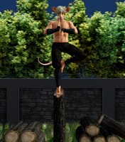 Striking Balance