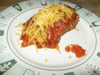 Scarskitsune's Slow Cooked Chicken ~ Quick Version!!