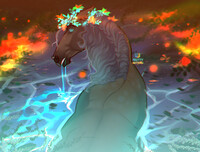 in the water
