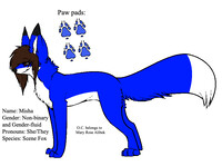 Misha reference sheet (New main fursona)