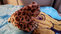 Plushie Collection [81]: 16" The Bear Factory SpottedLeopard
