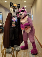 FE2023 - Chevron And Zee