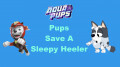 PAW Patrol - Aqua Pups: Pups Save a Sleepy Heeler Part 1