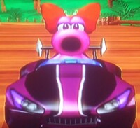 Birdo in her Wild Wing-front view