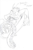 11/12 Le drakendir au chocolat