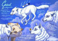 Sky |  Reference of my character