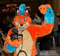 FC 2011 Photos #2 - Groggy Fox