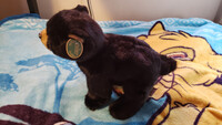 Plushie Collection [86]: 13" Bearington Black Bear (Asher)