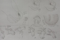 Pet or not to pet the sheep? [completo version]