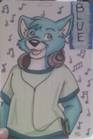 FC11 Dump - Blue Badge