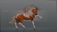 Horse Adopt 2 --OPEN