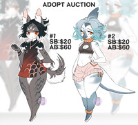 Adopt Auction (Closed)