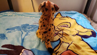 Plushie Collection [87]: 12" The Petting Zoo Wild Onez Hyena